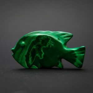 Malachite Fish